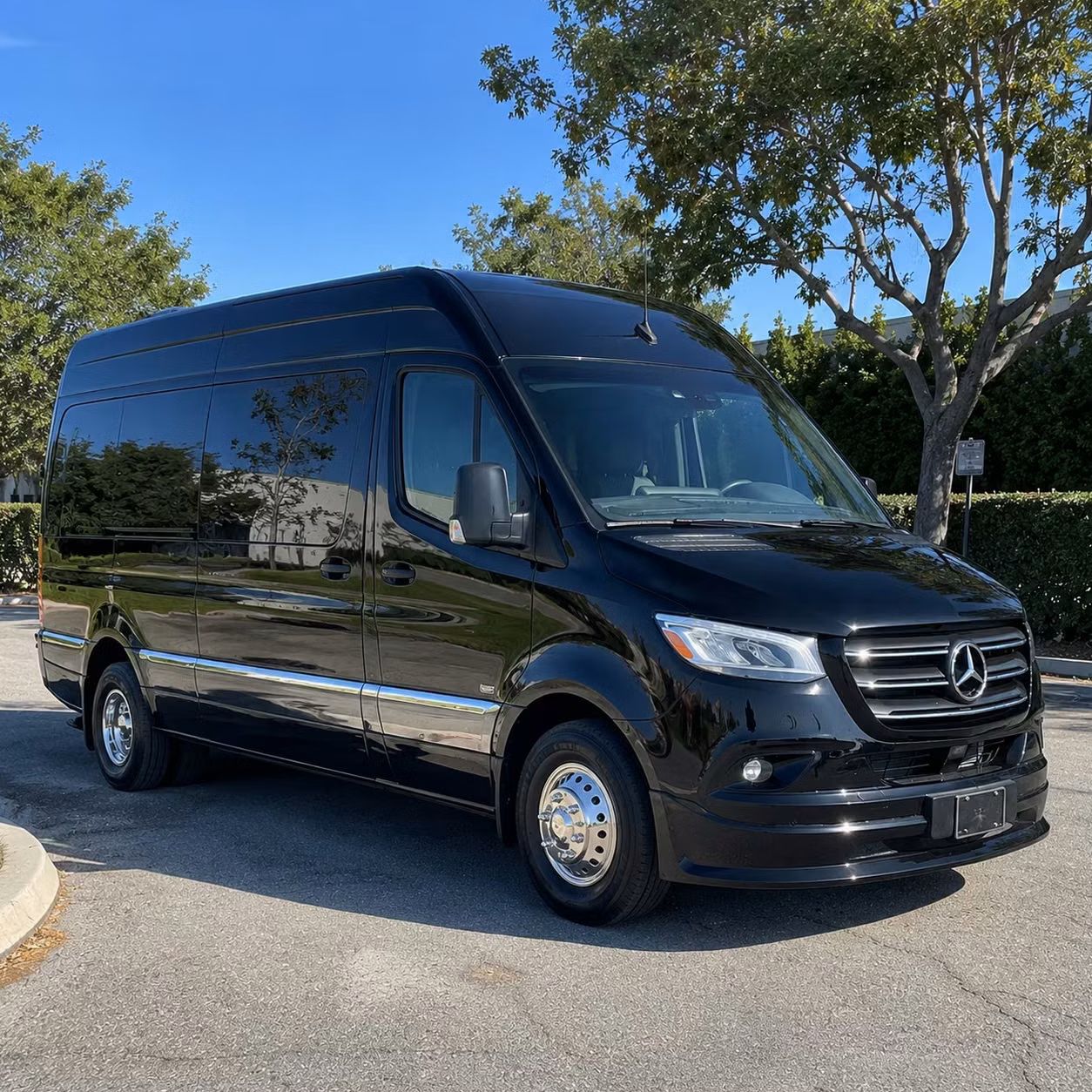 sprinter van with driver